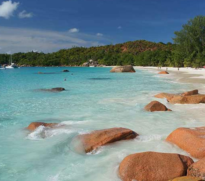 endless-summer-charter-seychelles-fauna-flora-explore-seychelles.jpg