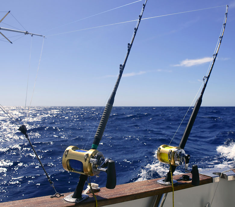 endless-summer-charter-seychelles-discover-seychelles-go-big-game-fishing.jpg