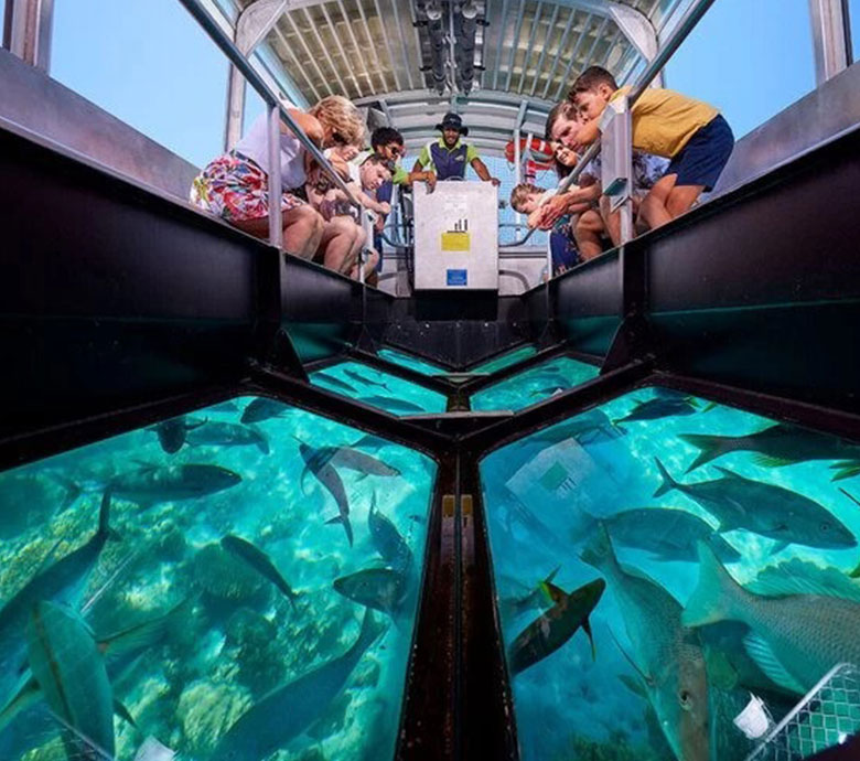 endless-summer-charter-seychelles-discover-seychelles-take-glass-bottomed-boat-ride.jpg