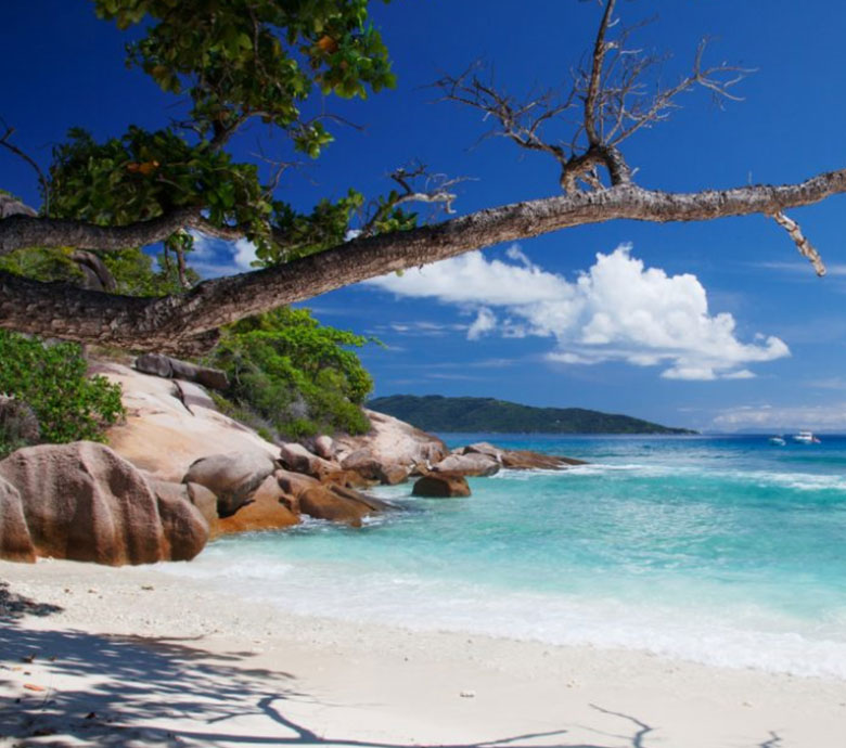 endless-summer-charter-seychelles-discover-seychelles-whole-bunch-of-family-activities-news.jpg