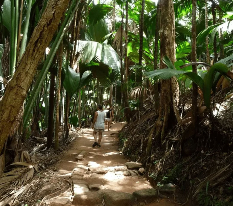 endless-summer-charter-seychelles-fauna-flora-explore-seychelles.jpg