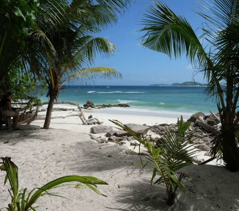 endless-summer-charter-seychelles-fauna-flora-seychelles-marine-wildlife-news.jpg